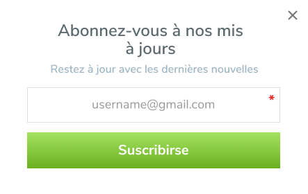 Formulaire d'abonnement pour agrandir votre liste de diffusion Image 3