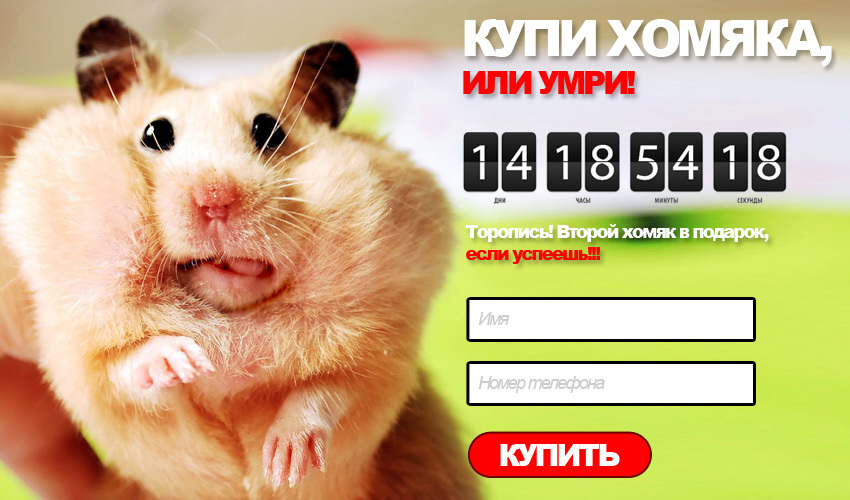 хомяк