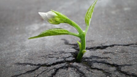 How to generate leads: A simple follow-up sequence that converts 