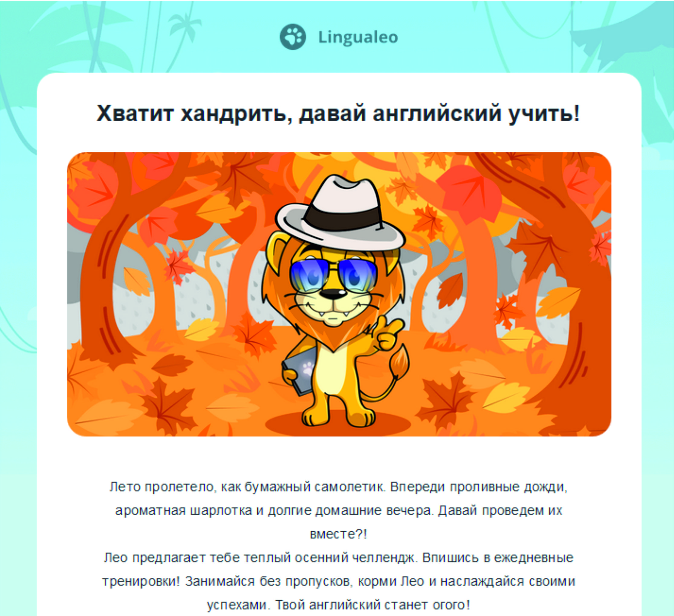 Рассылка от LinguaLeо Рассылка от LinguaLeо
