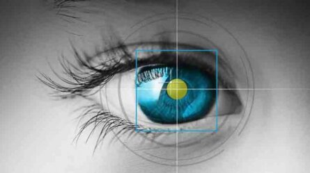 Segredos do eye tracking para e-mail marketing 