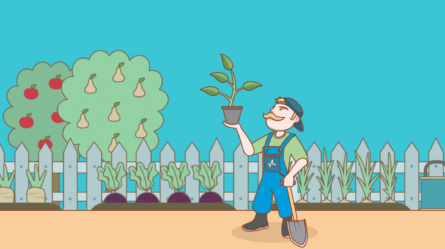 Как интернет-магазин «7 семян» увеличил заказы с email рассылок в два раза 