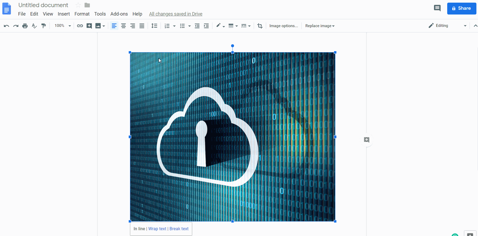 adding image alt text adding image alt text
