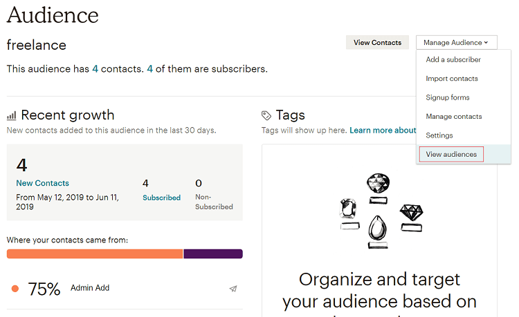 MailChimp Audience section