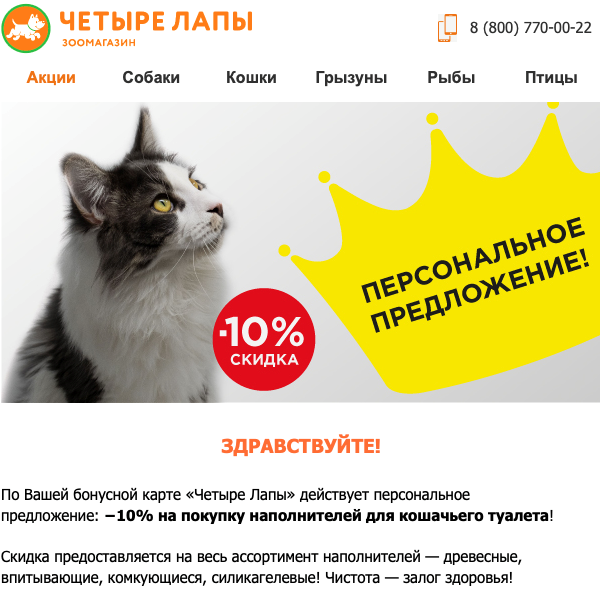 Письмо от зоомагазина «4 лапы» Письмо от зоомагазина «4 лапы»