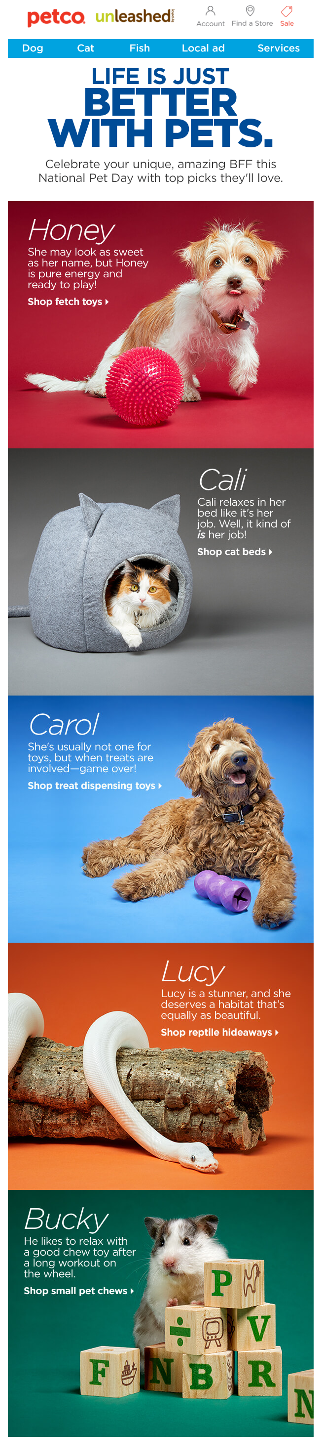 An email dedicated to Pet’s Day from Petco