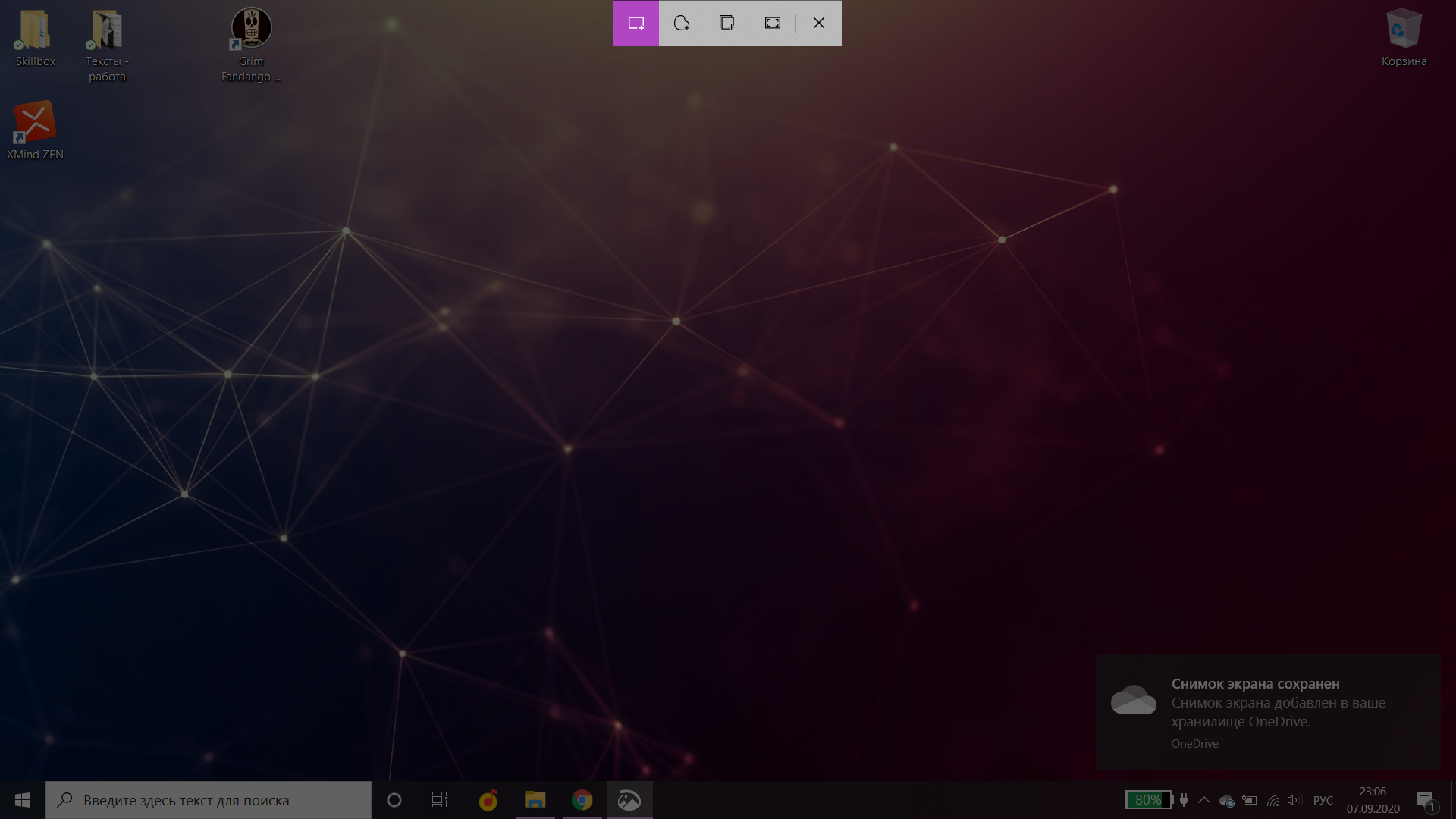 Primer raboty skrinshotera na Win10