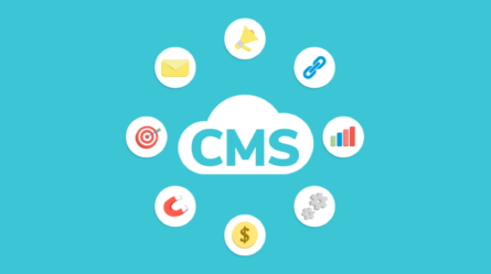 Сравнение CMS: анализ популярных систем управления контентом