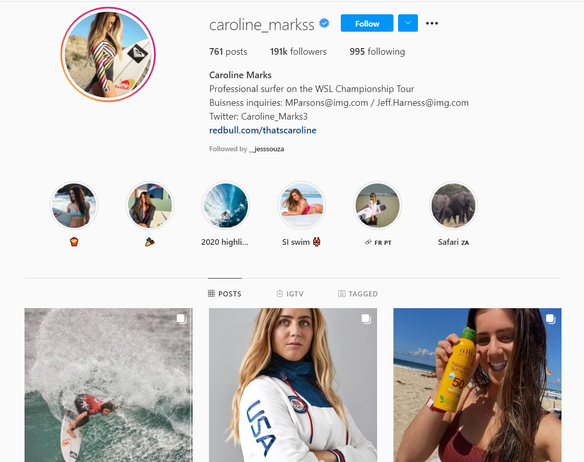 niche influencer example niche influencer example