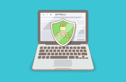 Як отримати SSL-сертифікат безкоштовно й навіщо він потрібен