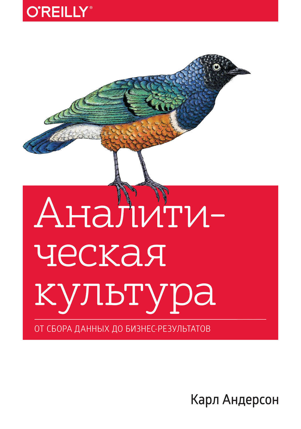 «Аналитическая культура. От сбора данных до бизнес-результатов» «Аналитическая культура. От сбора данных до бизнес-результатов»