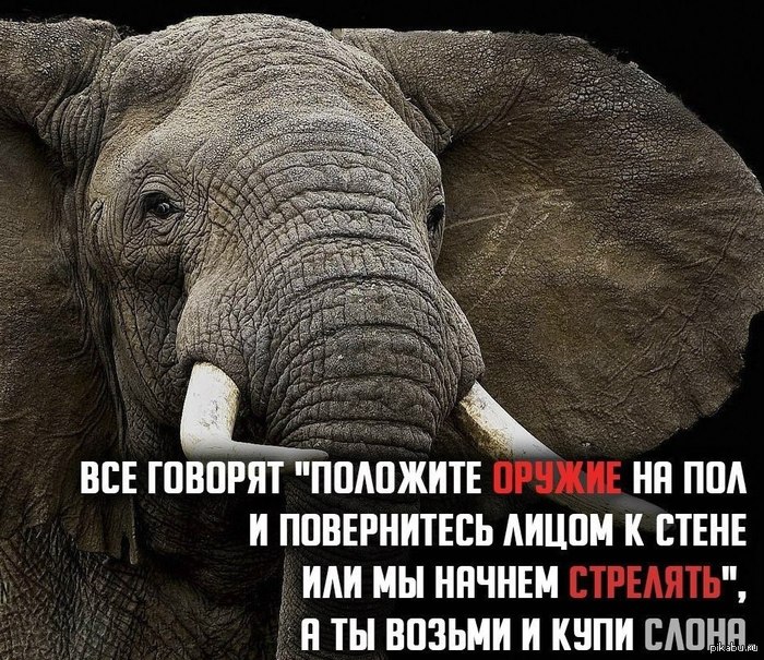 1374622018_1841489951