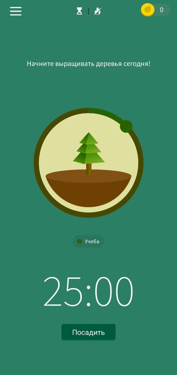 Оформление приложения Forest Оформление приложения Forest