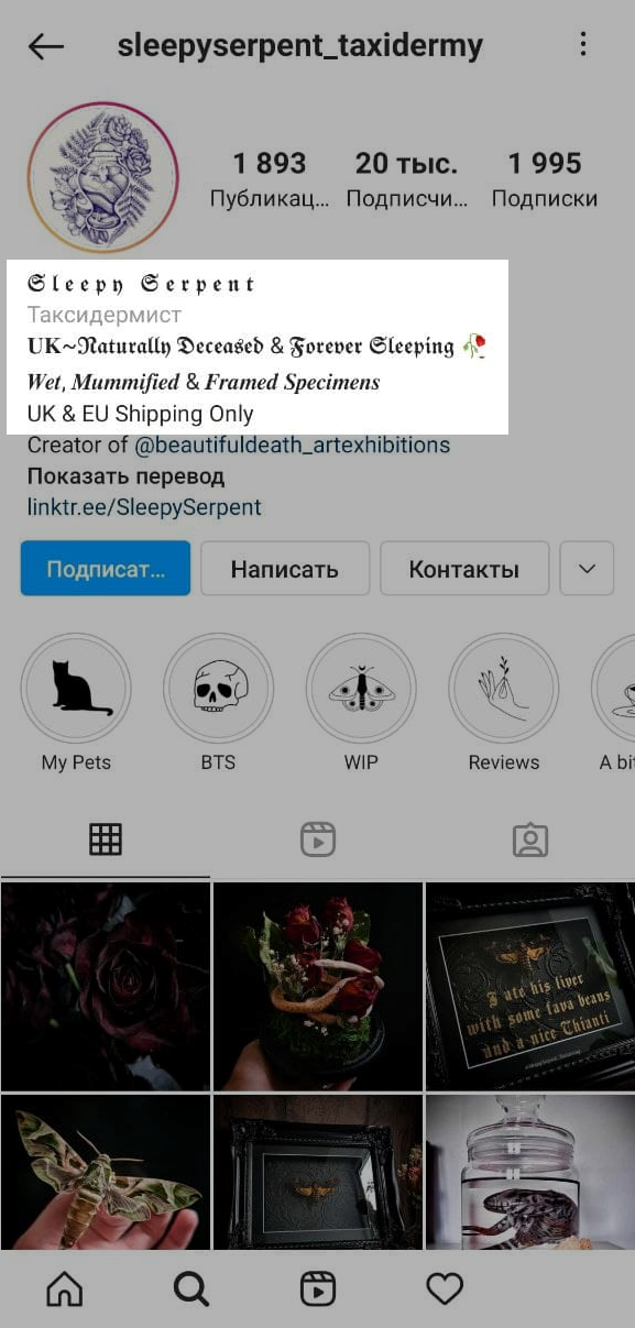Вариант использования разных шрифтов в описании профиля Вариант использования разных шрифтов в описании профиля