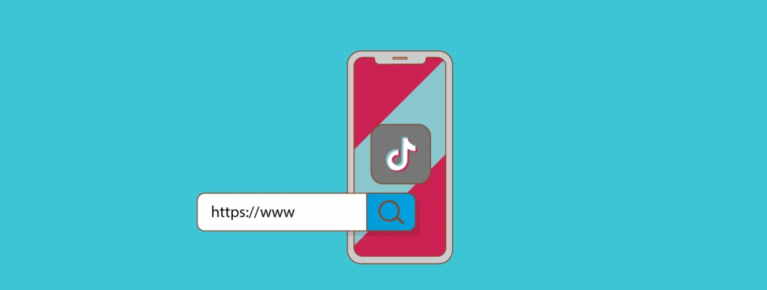 How to Put a Link in TikTok Bio and Optimize It to Boost Traffic 