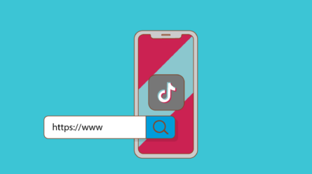 How to Put a Link in TikTok Bio and Optimize It to Boost Traffic
