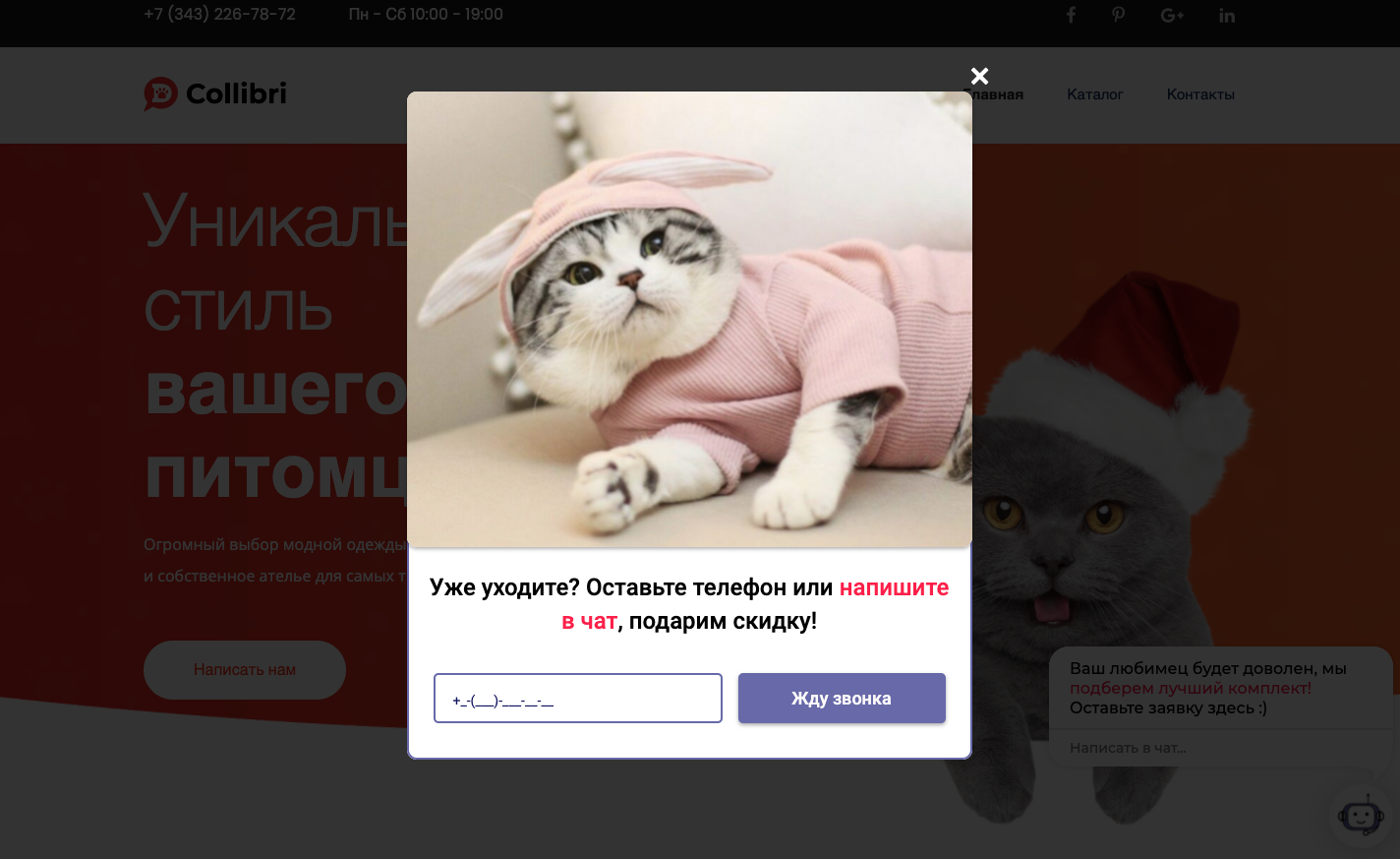 Всплывающее окно призывает написать в чат Всплывающее окно призывает написать в чат