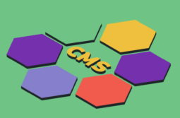 Как выбрать CMS для интернет-магазина