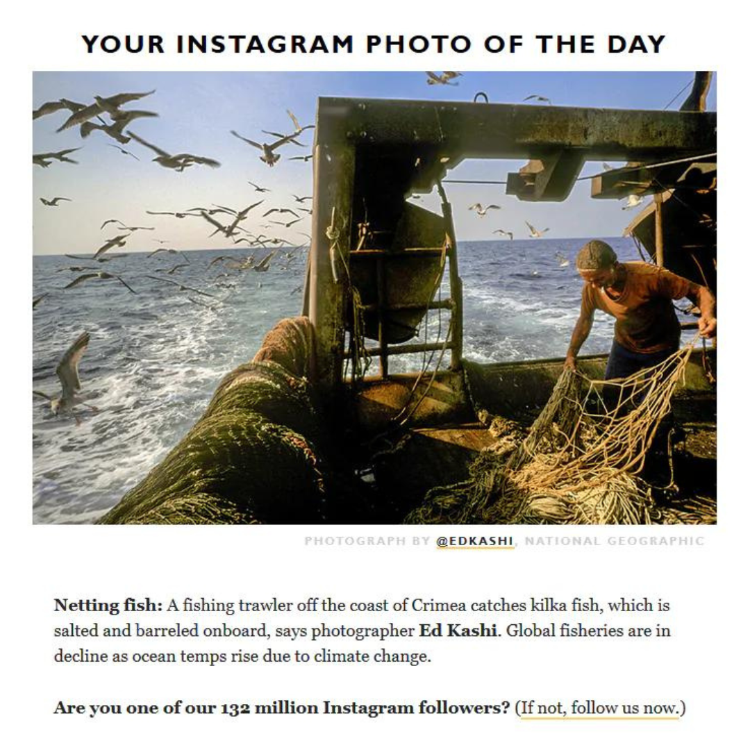 O National Geographic agrega valor aos clientes usando seus conteúdos em suas plataformas. 