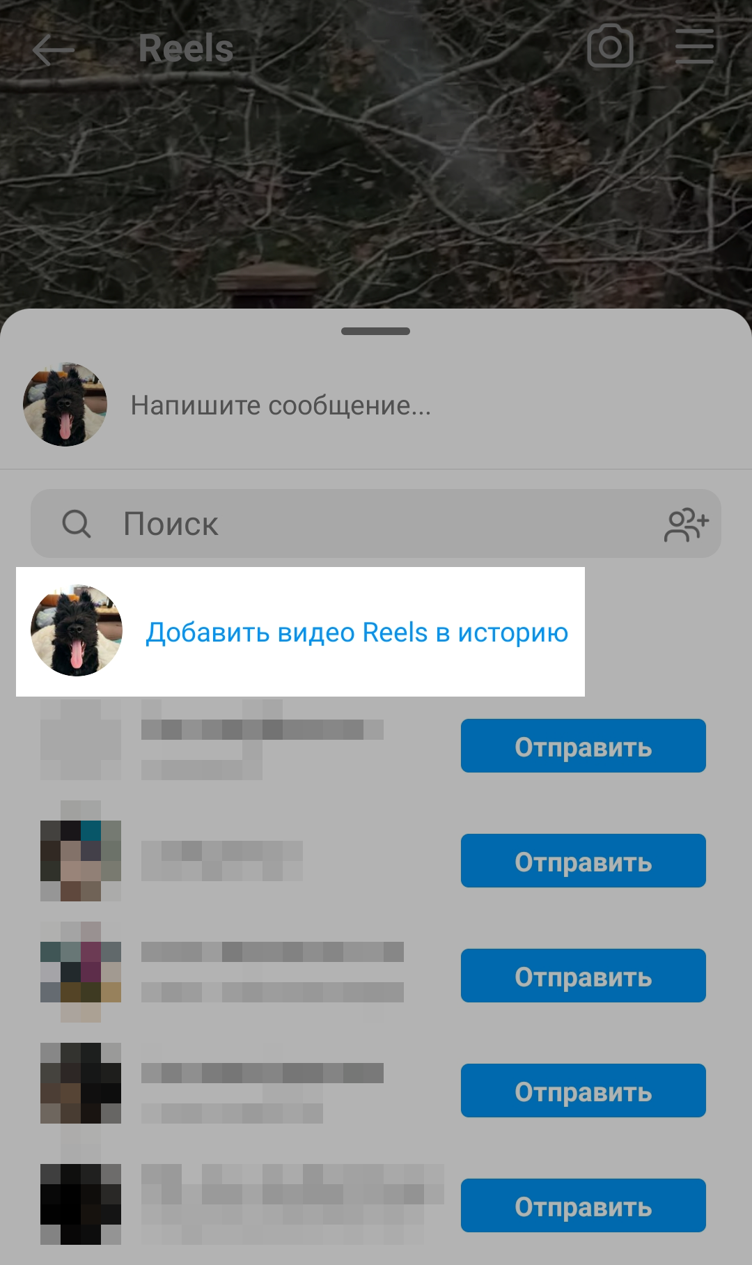 Отправка Reels в историю Отправка Reels в историю