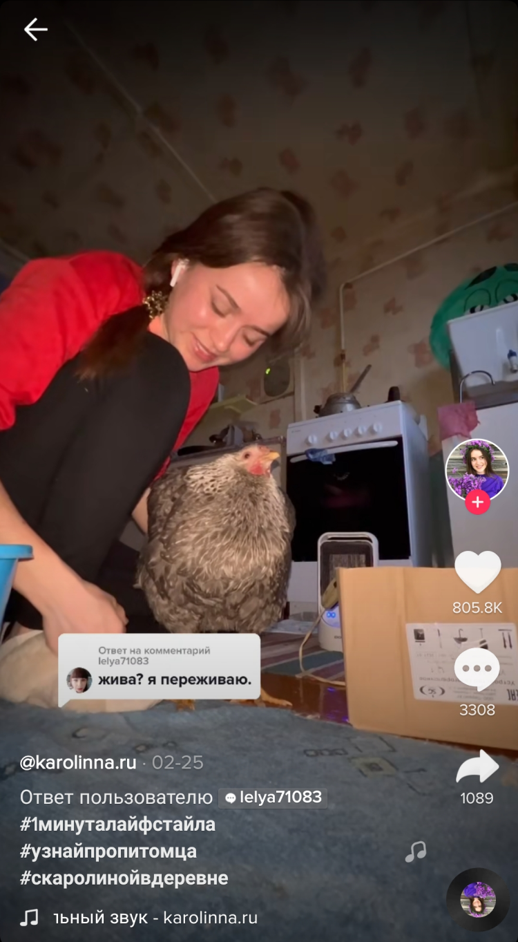 Тема животных хорошо заходит в соцсети Тема животных хорошо заходит в соцсети