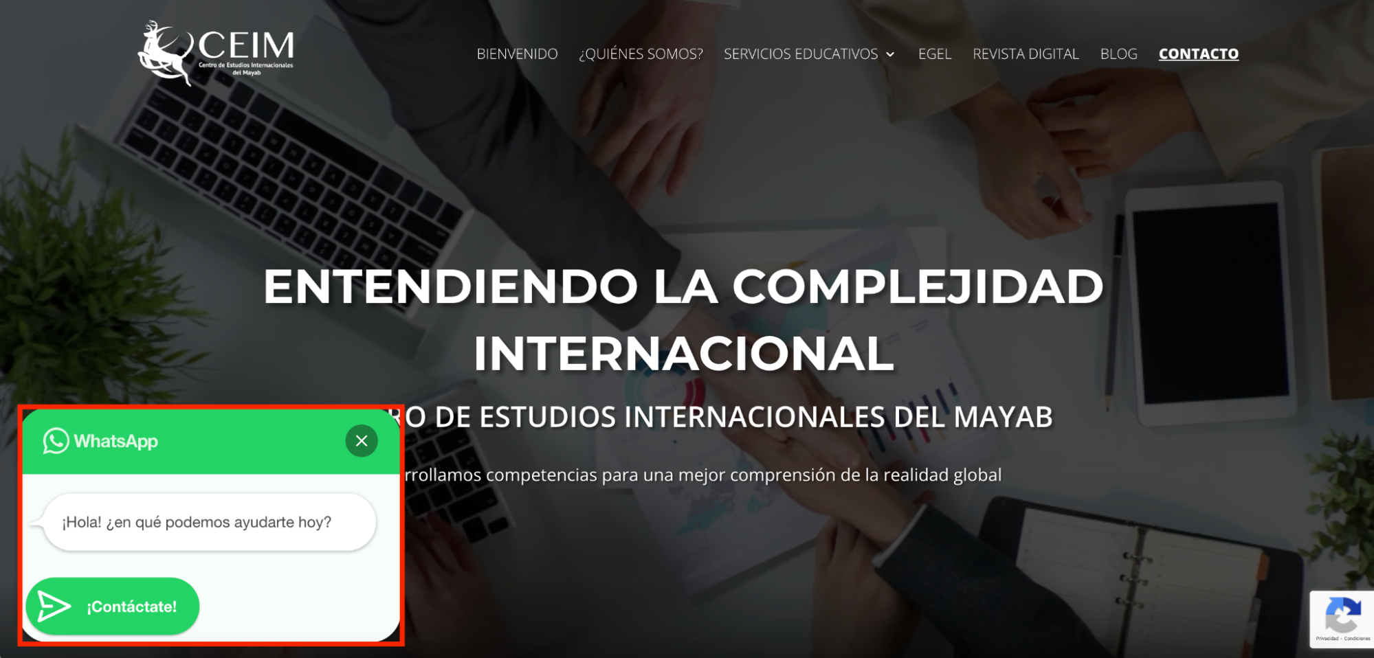 Ejemplo de un chatbot de WhatsApp en widget web Ejemplo de un chatbot de WhatsApp en widget web