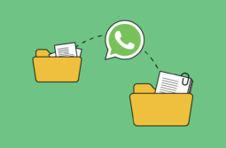 The Power of WhatsApp Business Automation: Use Cases, Tips, and DIYs