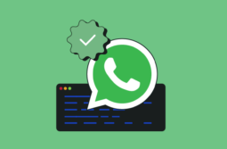 O que é BSP do WhatsApp e como escolher o certo 