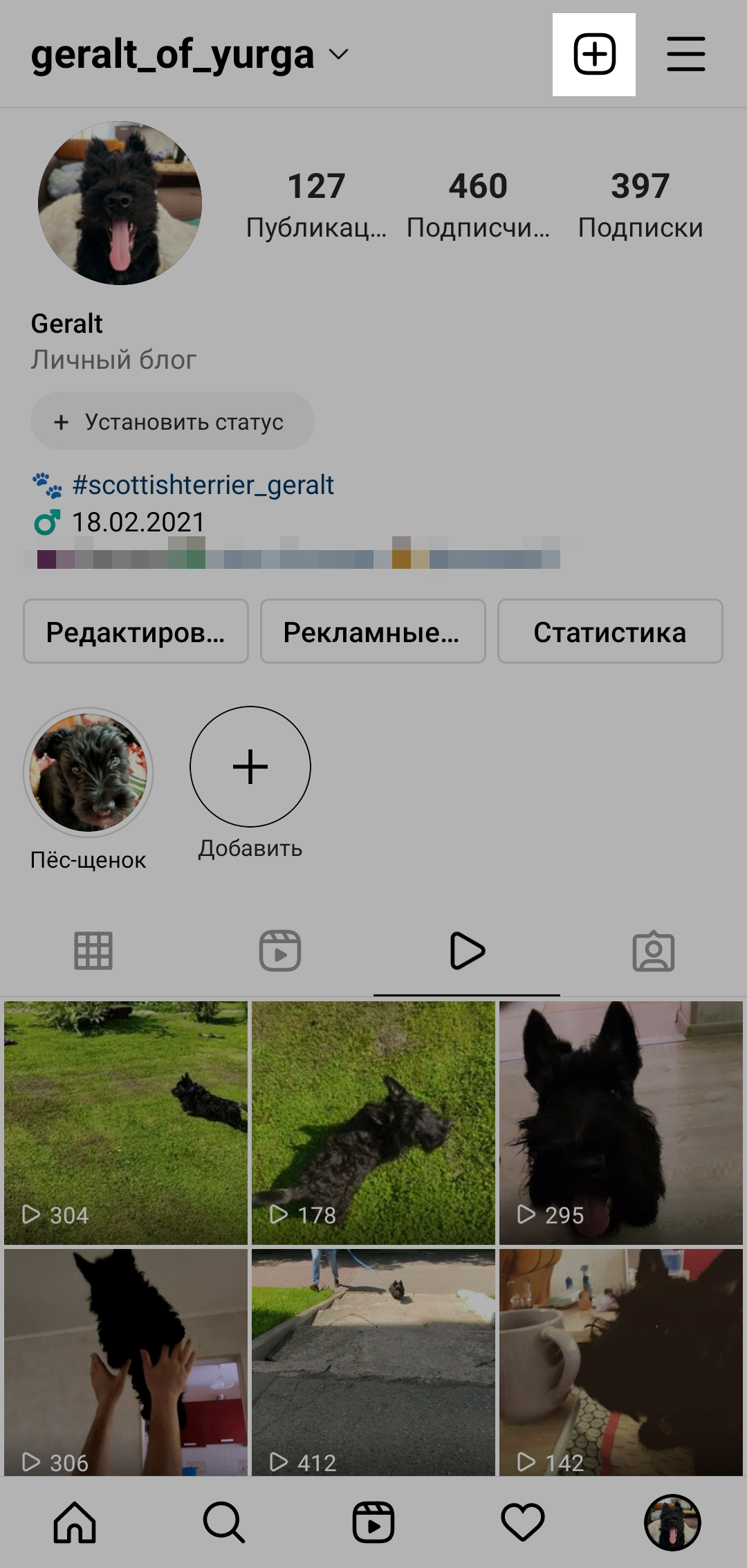 Как добавить видео в соцсеть Как добавить видео в соцсеть