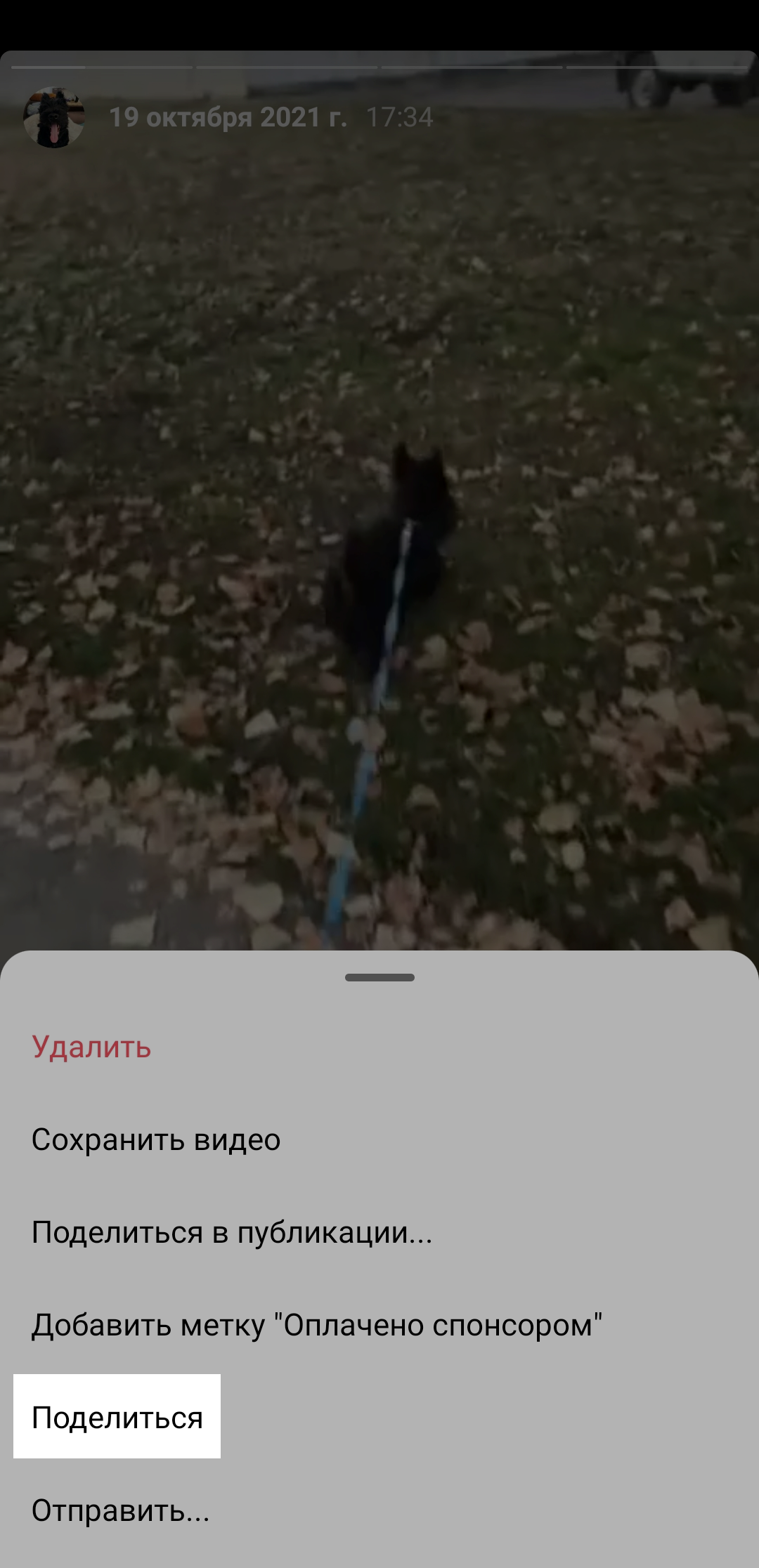 Как опубликовать архивную историю в новую stories Как опубликовать архивную историю в новую stories