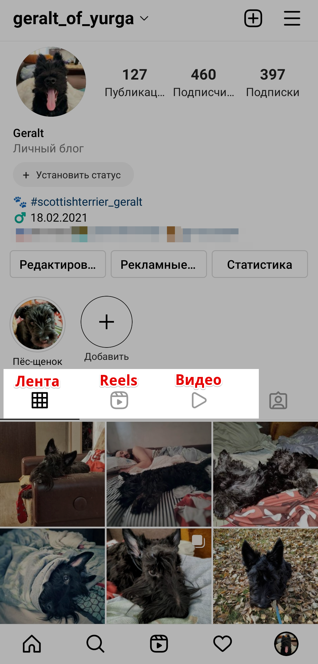 Разделы контента в профиле Разделы контента в профиле