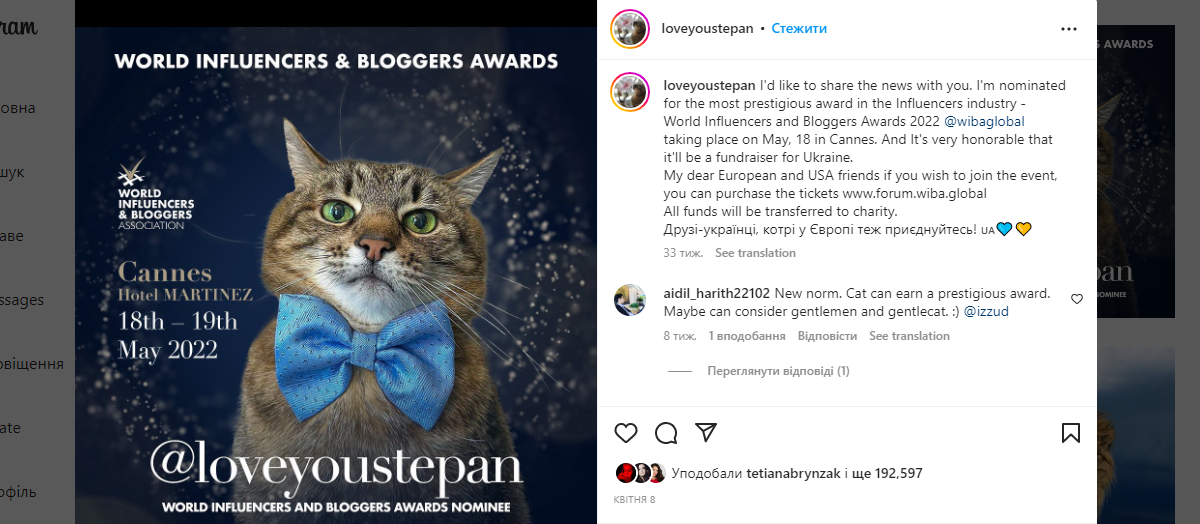 Кіт Степан — приклад яскравого персонального бренду