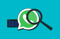 WhatsApp Business API: Qué es y por qué buscar una oficial 