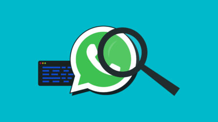 WhatsApp Business API: Qué es y por qué buscar una oficial 