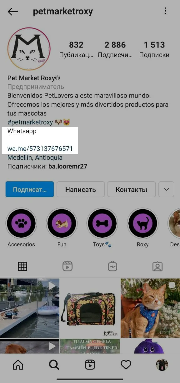 Приклад того, як виглядає посилання на чат WhatsApp в Інстаграм Приклад того, як виглядає посилання на чат WhatsApp в Інстаграм