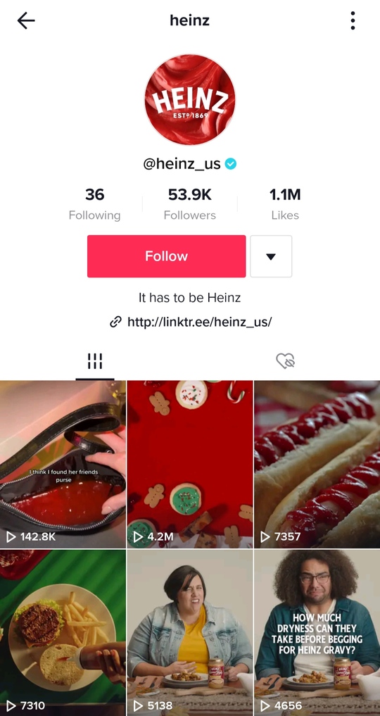 Eine TikTok-Bio von Heinz Eine TikTok-Bio von Heinz