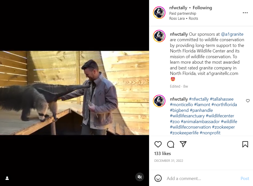 micro-influencer example micro-influencer example