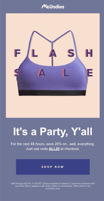 flash sale email example flash sale email example
