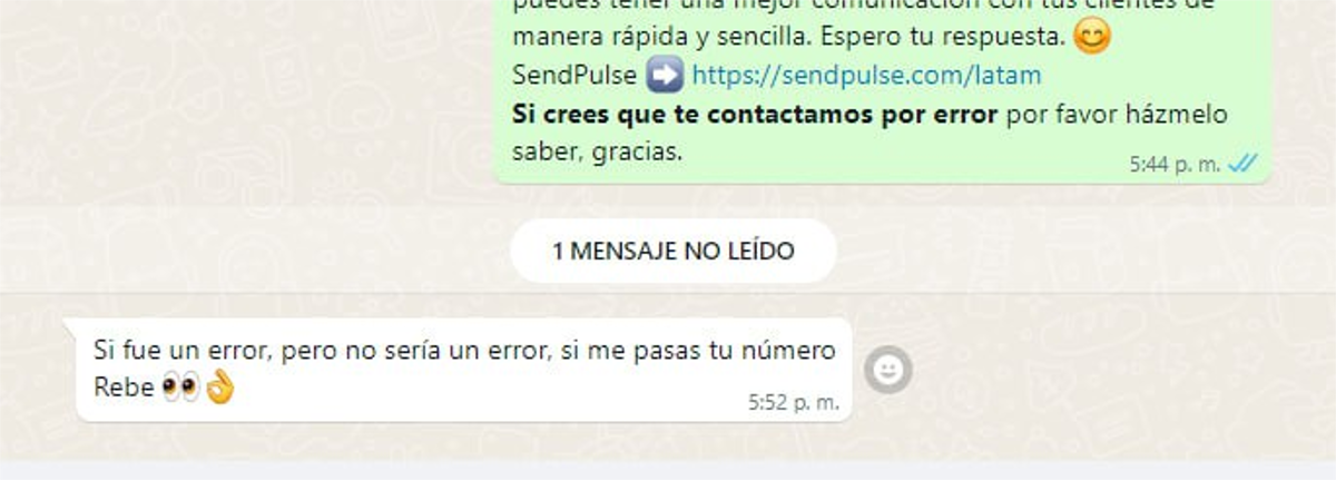 Un chat por WhatsApp con clientes debe mantenerse siempre en el profesionalismo Un chat por WhatsApp con clientes debe mantenerse siempre en el profesionalismo