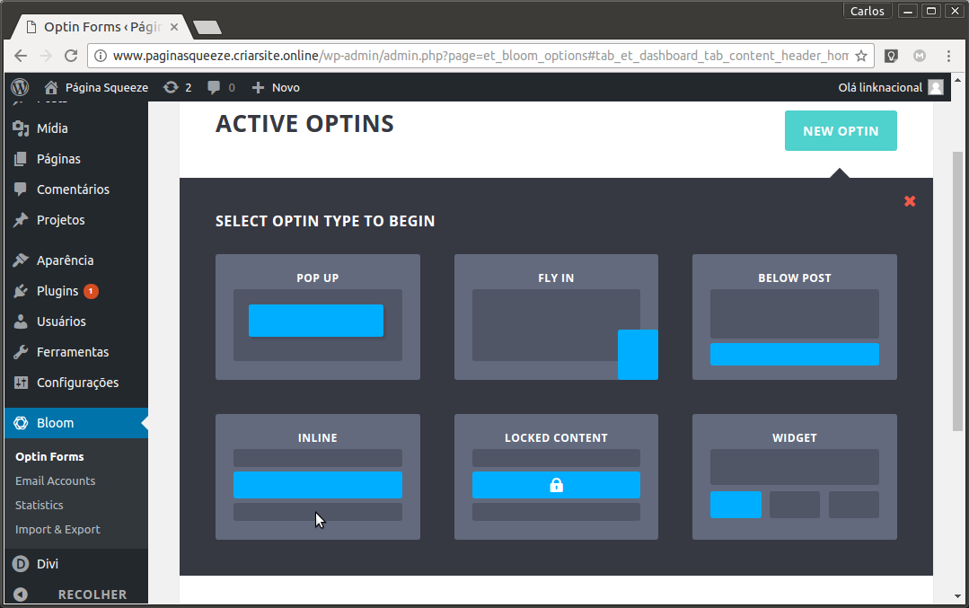 use-a-bloom-para-criar-seus-popups-wordpress use-a-bloom-para-criar-seus-popups-wordpress