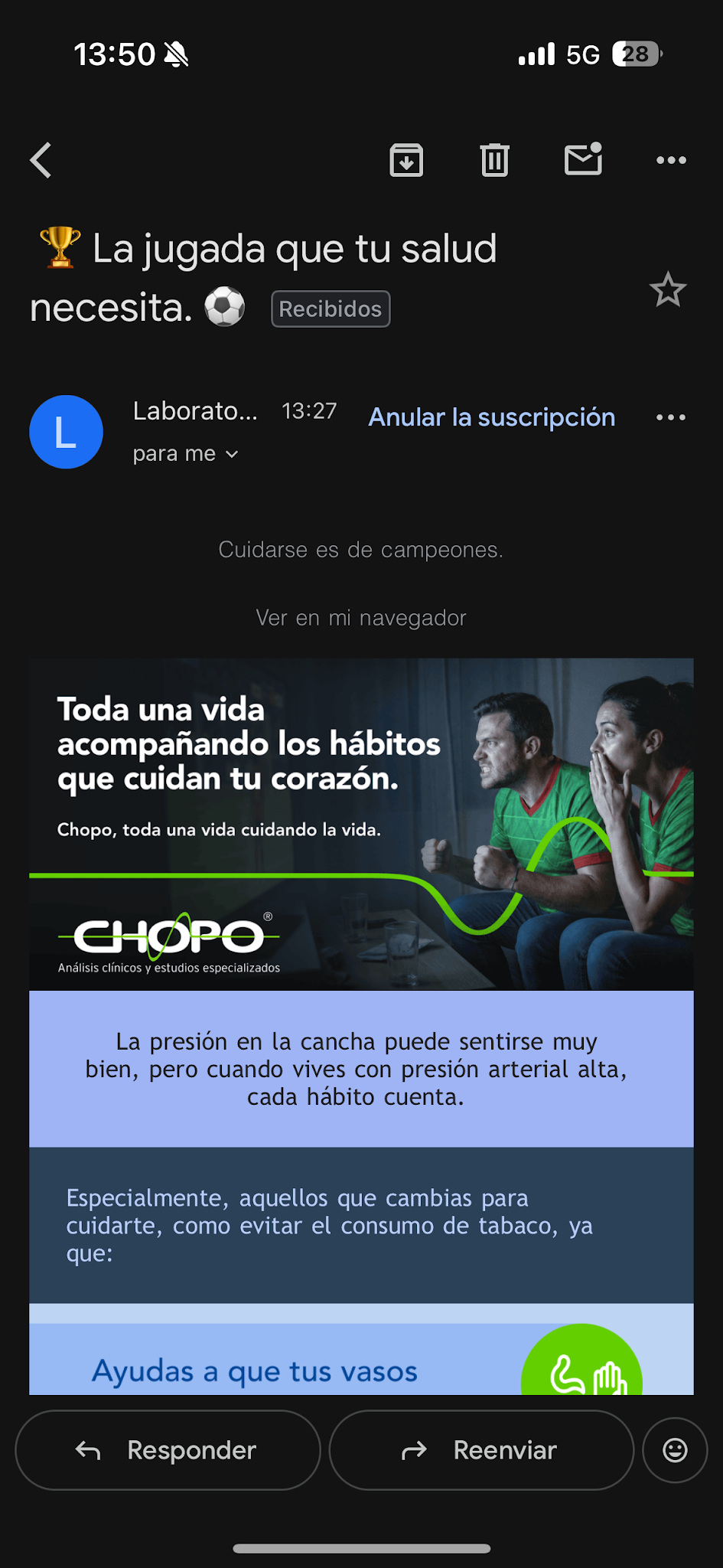 Email marketing de FIFA World Cup de Laboratorios El Chopo