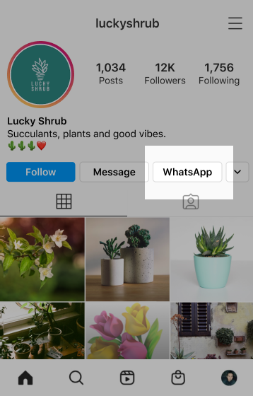 WhatsApp link on Instagram WhatsApp link on Instagram