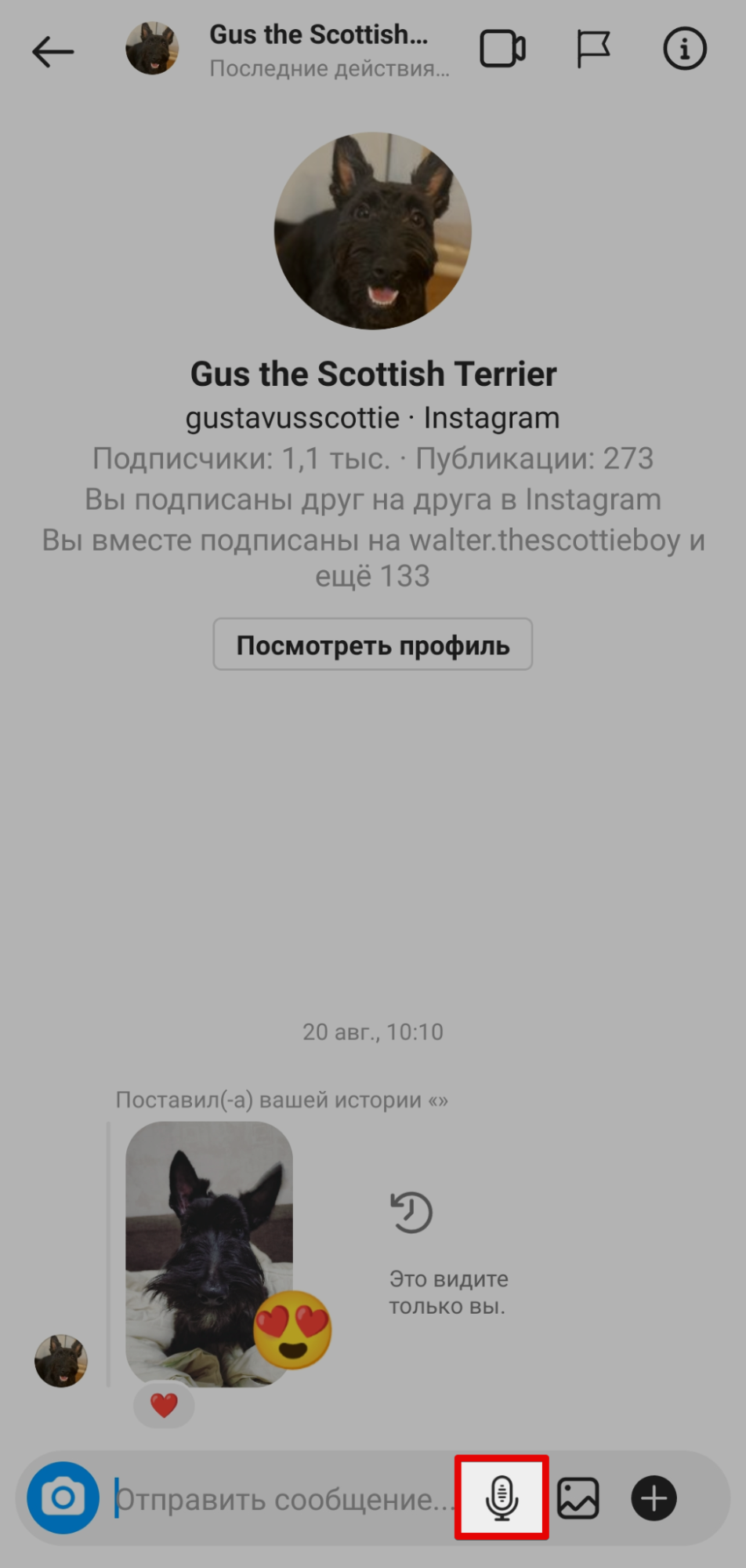 Как записать голосовое сообщение Как записать голосовое сообщение
