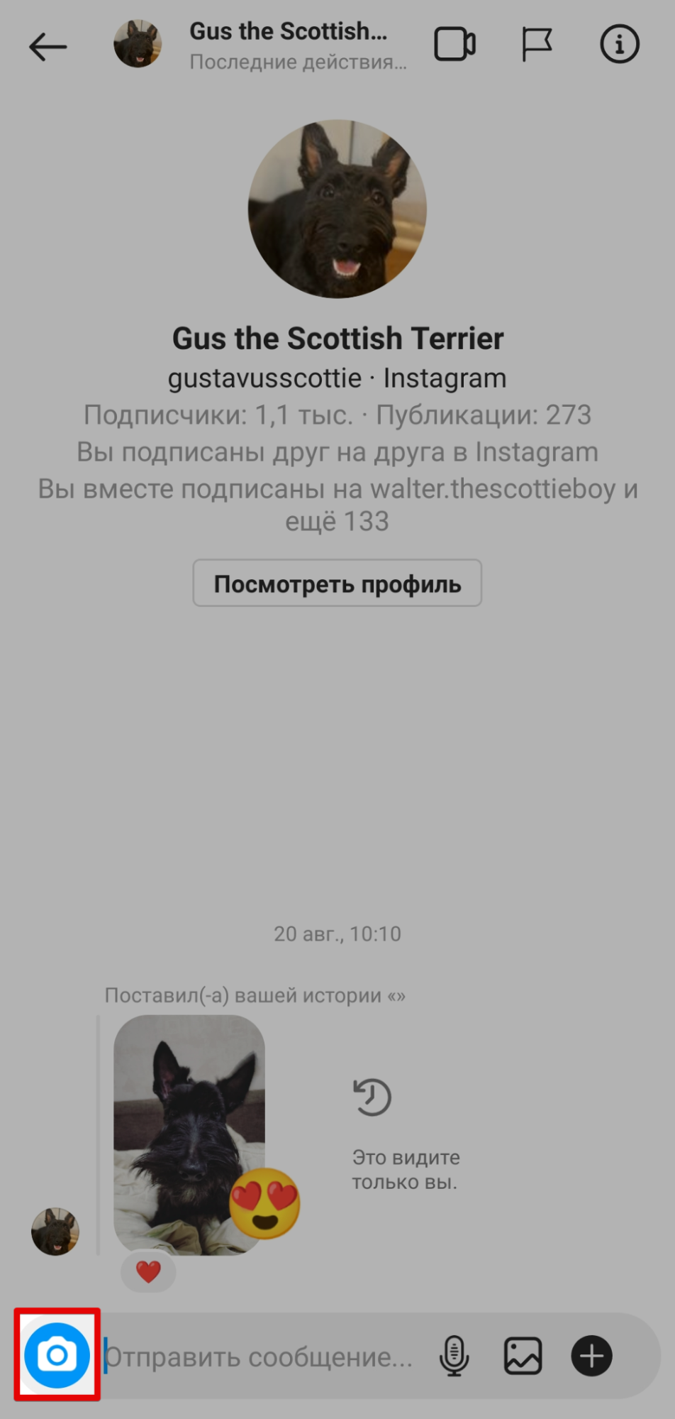 Как сделать фото или видео и отправить пользователю Как сделать фото или видео и отправить пользователю