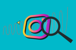 Descubra como conseguir seguidores no Instagram de forma orgânica 