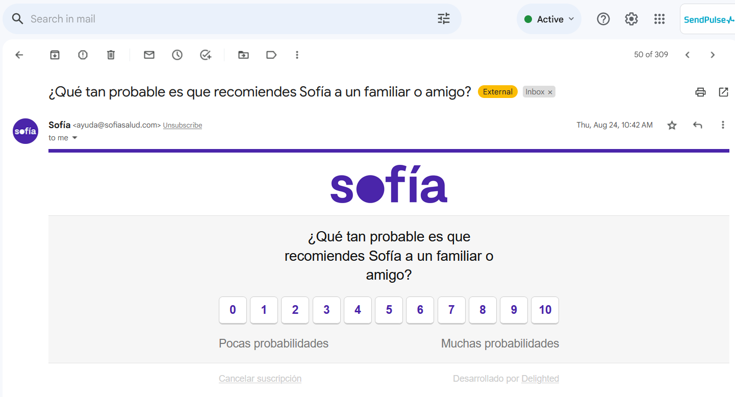 El cuerpo es la estructura del correo electrónico con mayor información para tus suscriptores