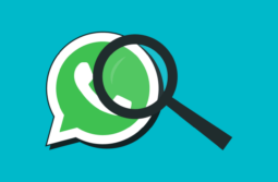Guía Básica: Cómo usar los Estados para WhatsApp 