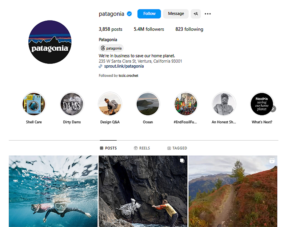 Patagonia reconoce lo importante que es crear comunidad con su audiencia Patagonia reconoce lo importante que es crear comunidad con su audiencia