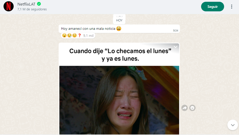 La verificación en WhatsApp Business aparece automáticamente una vez realizado el proceso La verificación en WhatsApp Business aparece automáticamente una vez realizado el proceso