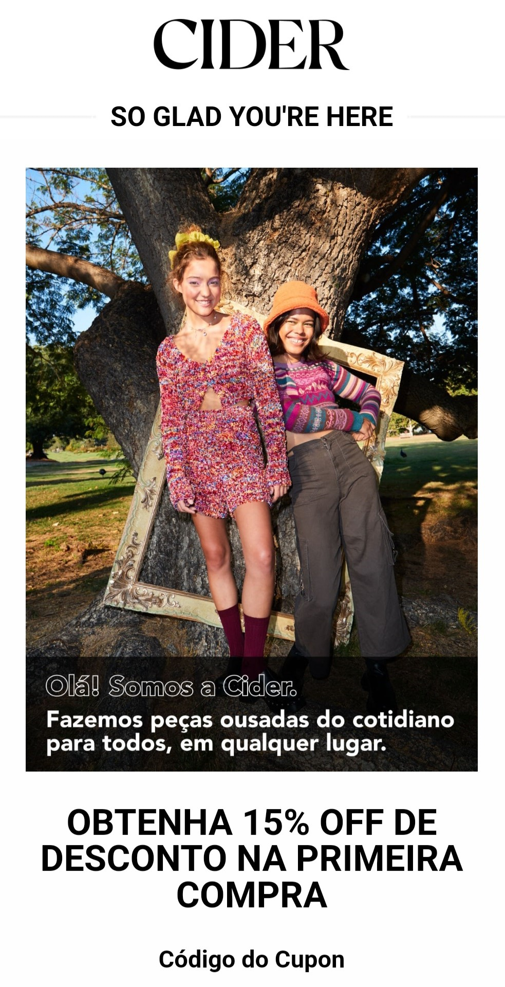 modelos-de-newsletter-cider modelos-de-newsletter-cider